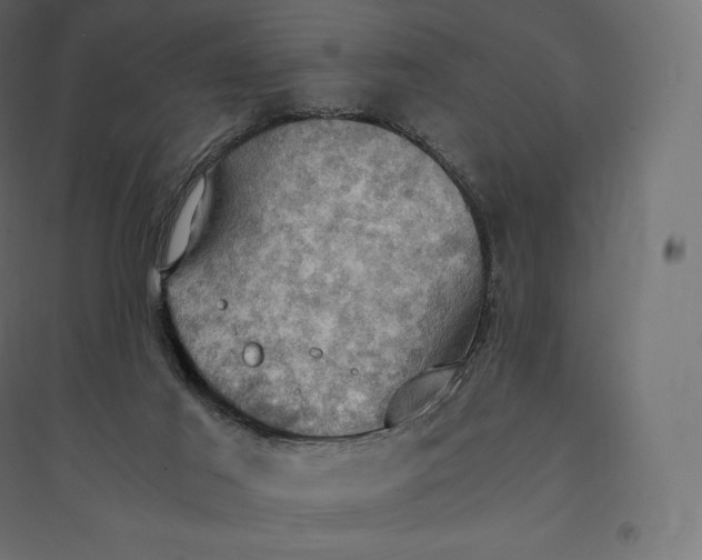 X0000094370021200711242010