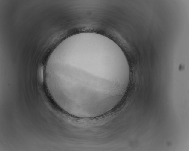 X0000094370022200711242010