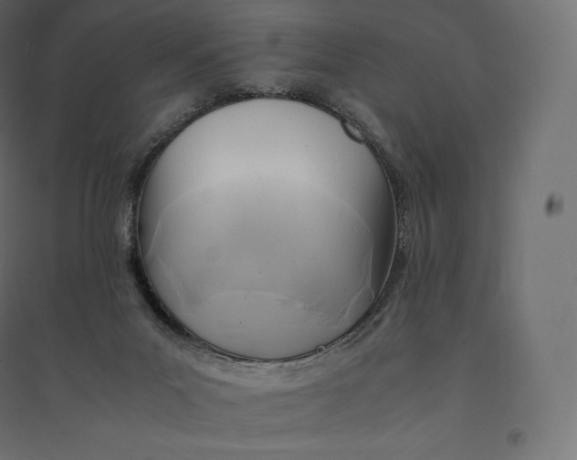 X0000094370023200711242010