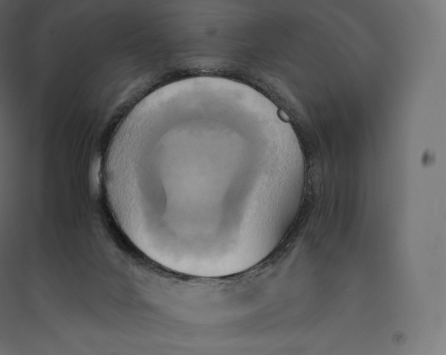 X0000094370024200711242010