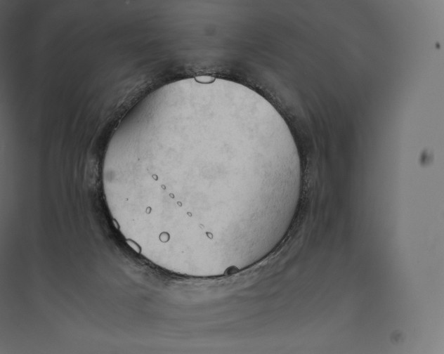 X0000094370025200711242010