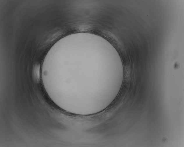 X0000094370028200711242009