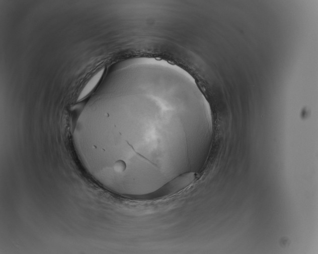 X0000094370029200711242009