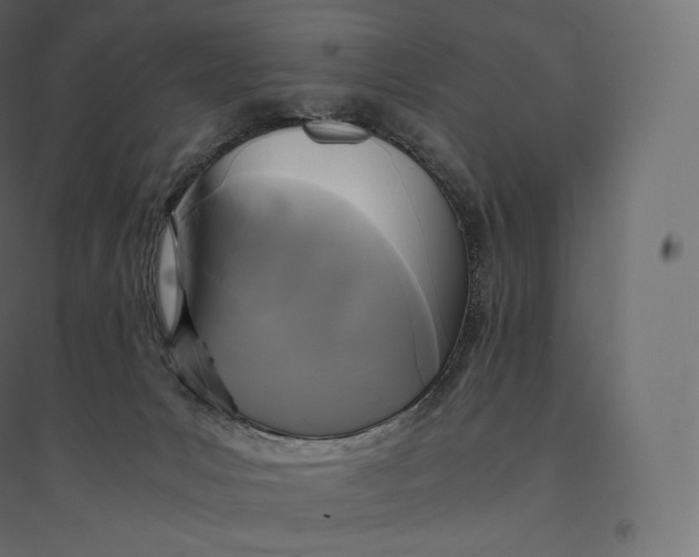 X0000094370031200711242009