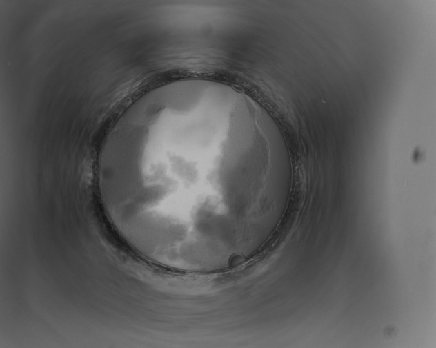 X0000094370032200711242009