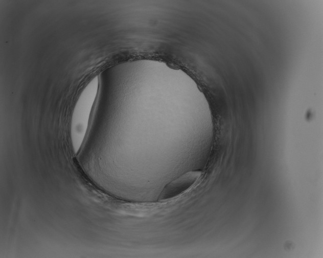 X0000094370033200711242009