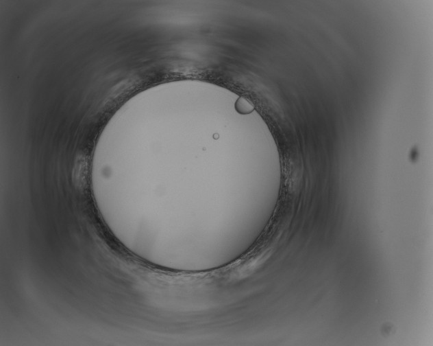 X0000094370036200711242009