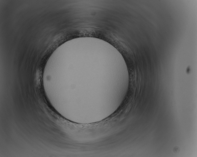 X0000094370038200711242009