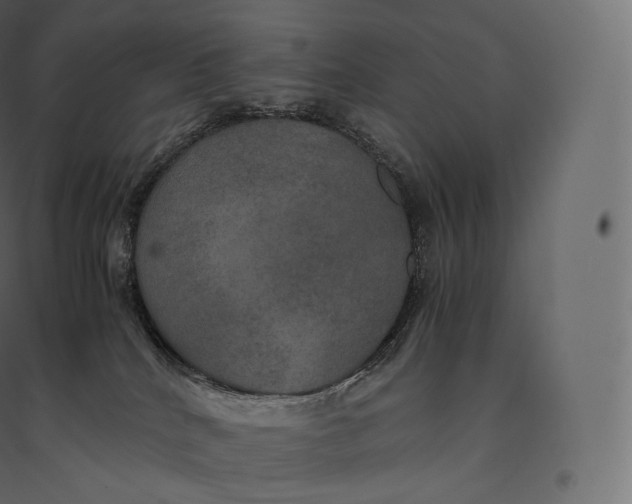 X0000094370040200711242009