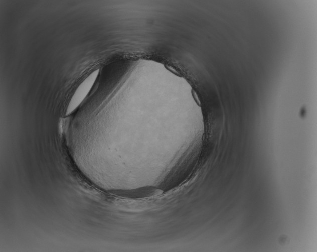 X0000094370041200711242009