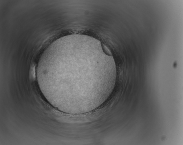 X0000094370042200711242009