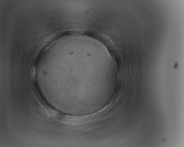 X0000094370045200711242009