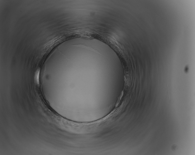 X0000094370047200711242009