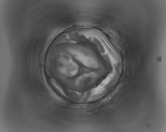 X0000094370049200711242009