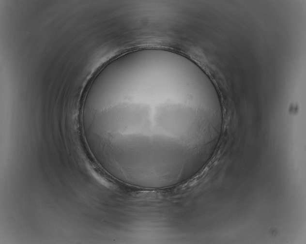 X0000094370050200711242009