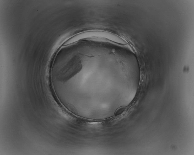 X0000094370053200711242009