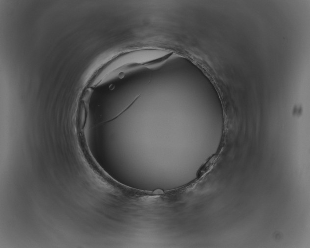 X0000094370054200711242009