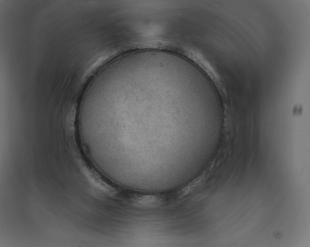 X0000094370058200711242009