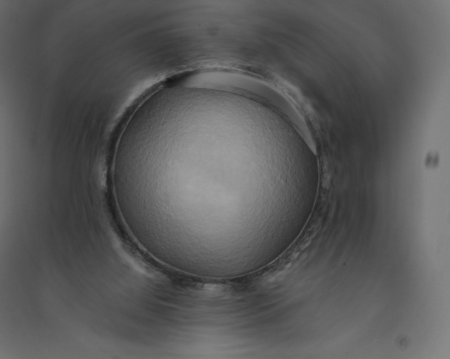 X0000094370060200711242009