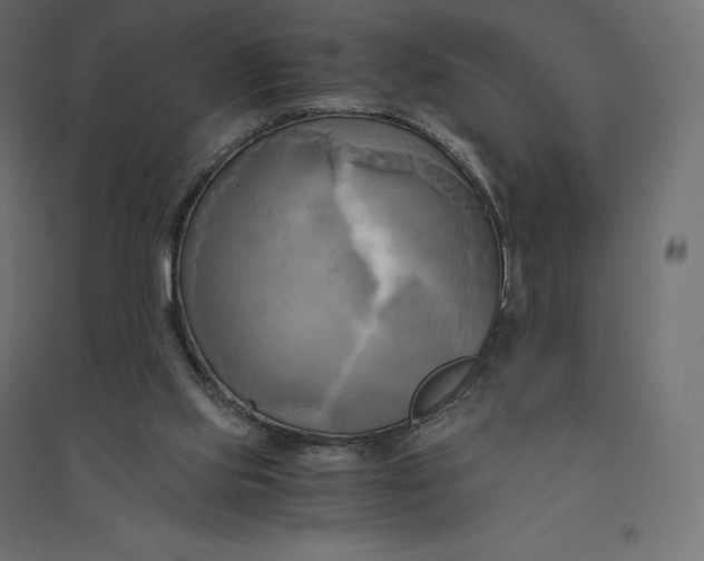 X0000094370061200711242009