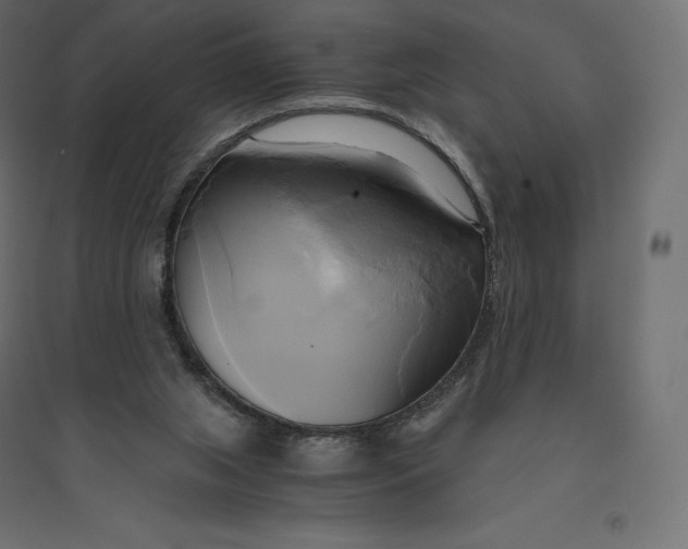 X0000094370063200711242009