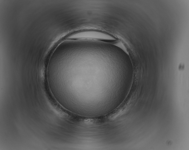 X0000094370064200711242009