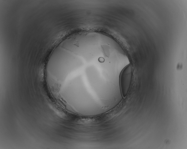 X0000094370065200711242009