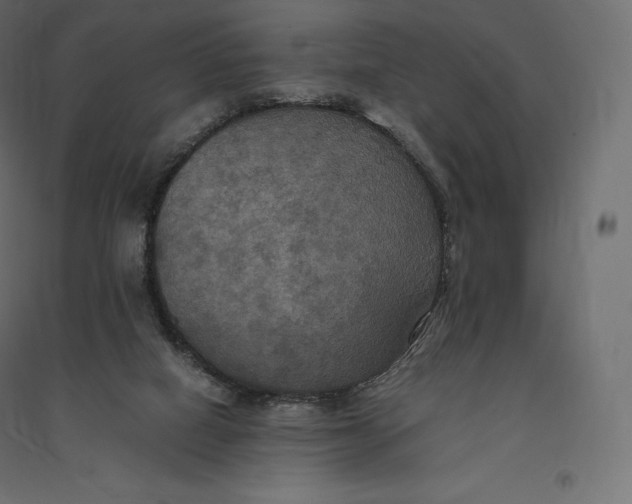 X0000094370066200711242009