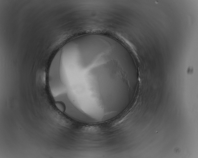 X0000094370067200711242009