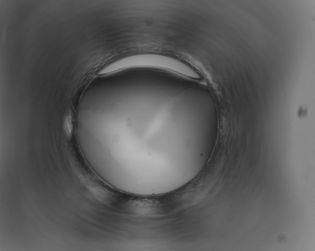 X0000094370069200711242009