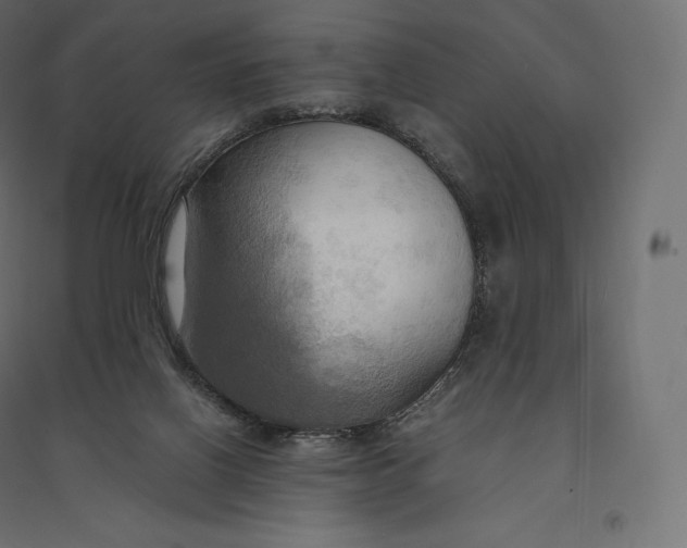 X0000094370070200711242009