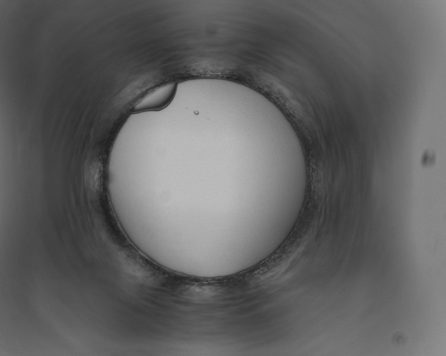 X0000094370071200711242009