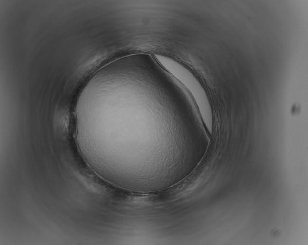 X0000094370072200711242009