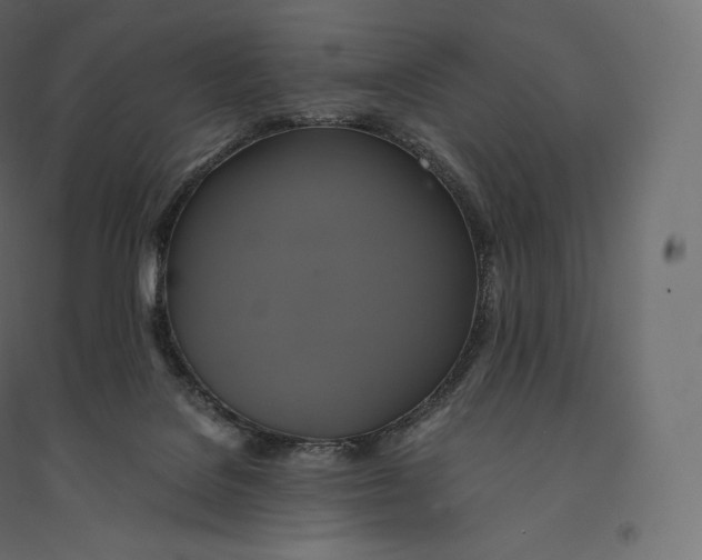 X0000094370076200711242009