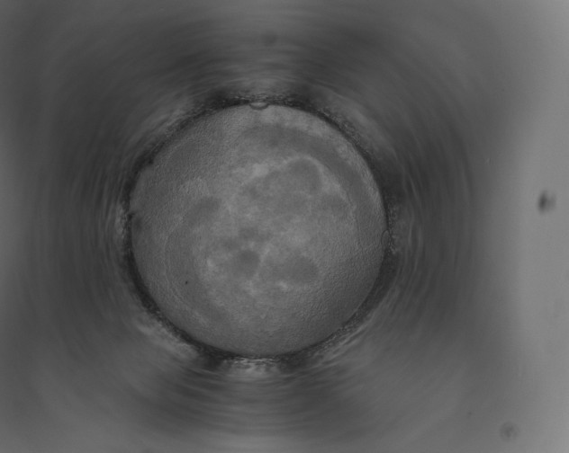 X0000094370077200711242009