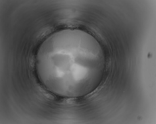 X0000094370078200711242009