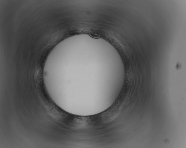 X0000094370079200711242009