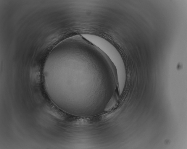 X0000094370080200711242009