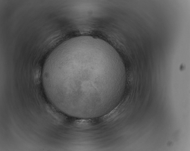 X0000094370082200711242009