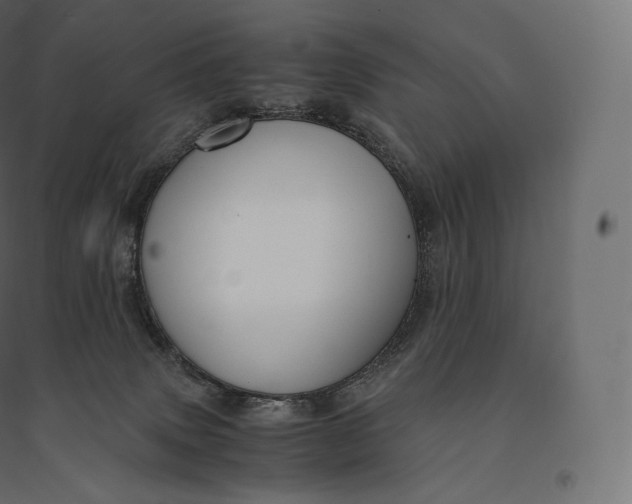 X0000094370083200711242009