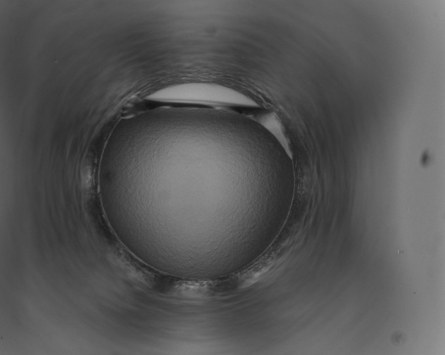 X0000094370084200711242009