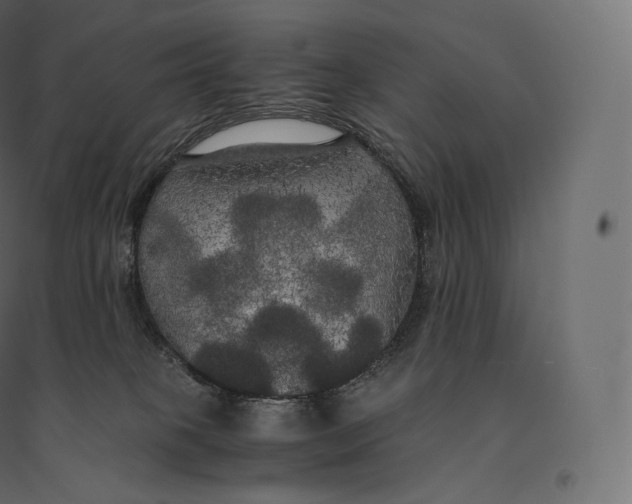 X0000094370085200711242009