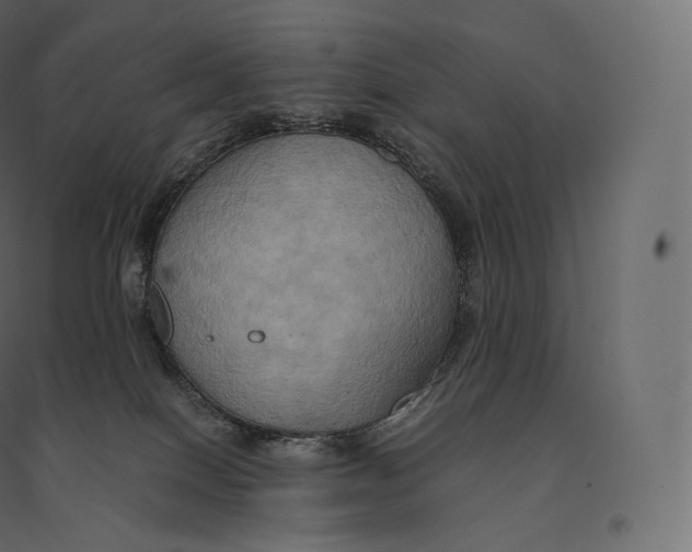 X0000094370086200711242009