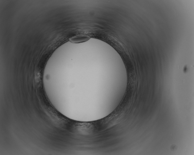 X0000094370087200711242009