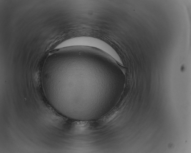 X0000094370088200711242009