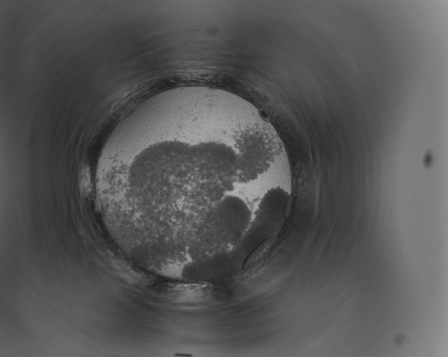 X0000094370089200711242009