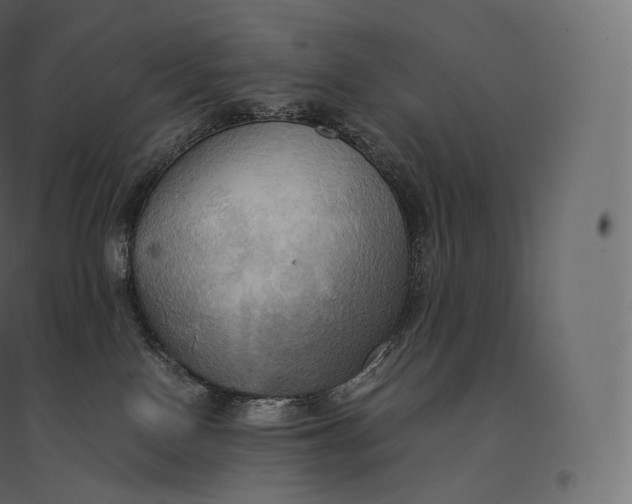 X0000094370090200711242009