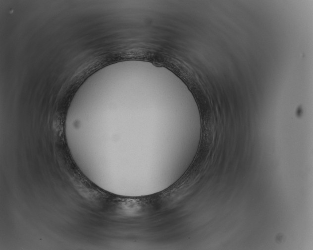 X0000094370091200711242009