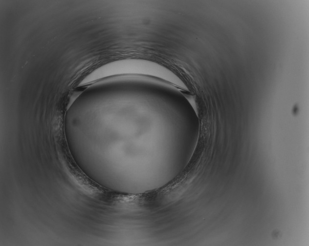 X0000094370092200711242009