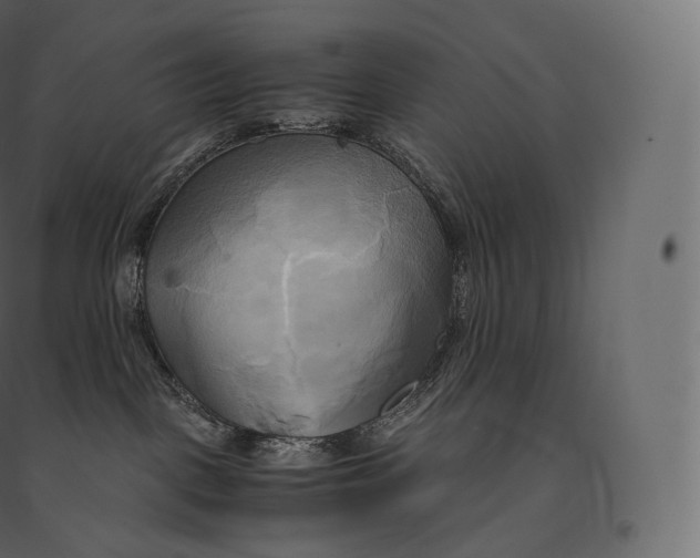 X0000094370093200711242009